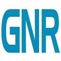 gnr - global network recruiting logo image