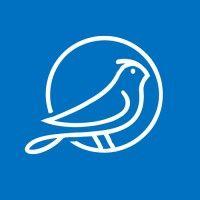 blue nest capital logo image