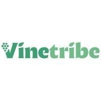 vinetribe logo image