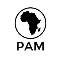 pam africa logo image