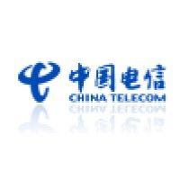 china telecom system integration co. ltd logo image