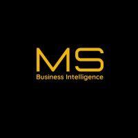 ms consultoria logo image