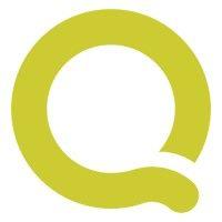 pro q solutions logo image