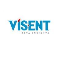 vísent data insights logo image