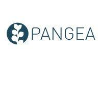 pangea brands, inc logo image