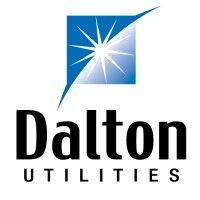 dalton utilities/optilink logo image