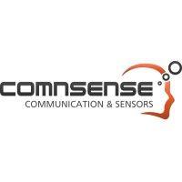 com-n-sense ltd