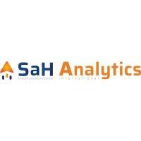 sah analytics international logo image