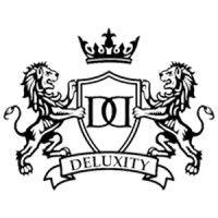 deluxity inc. logo image