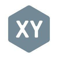 xy solutions group logo image