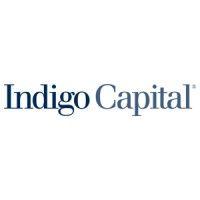 indigo capital llc logo image