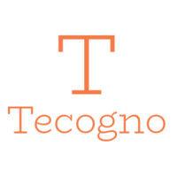 tecogno solutions logo image