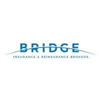 bridge insurance and reinsurance brokers logo image