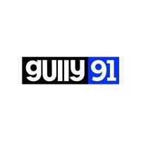 gully91 logo image