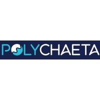 polychaeta logo image