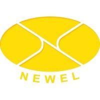 newel infotech private limited logo image