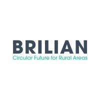 brilian logo image