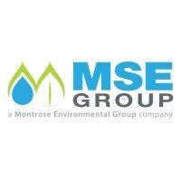 mse group logo image