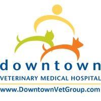 downtown veterinary medical hospitals logo image