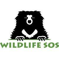 wildlife sos logo image