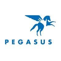 pegasus therapeutic riding ny/ct logo image