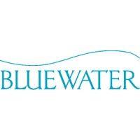 bluewater ventures logo image