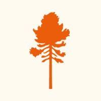 pinewood official scandinavian outdoor life logo image