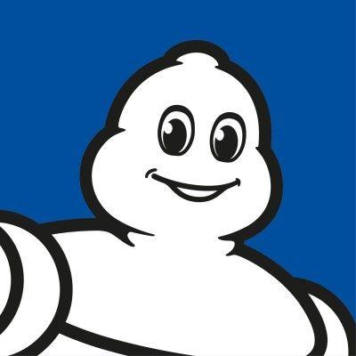 Michelin logo image