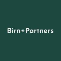 birn+partners logo image