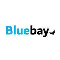 bluebay team logo image