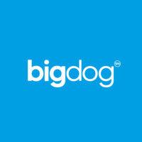 bigdog agency logo image