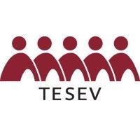 türkiye ekonomik ve sosyal etüdler vakfı - turkish economic and social studies foundation (tesev)