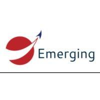 emerging international logo image