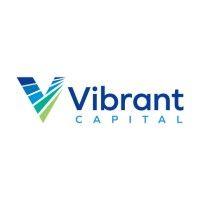 vibrant capital partners, inc. logo image