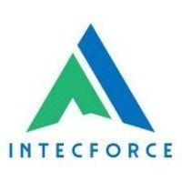 intecforce ltd logo image