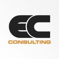 ec consulting gmbh logo image