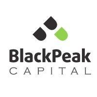 blackpeak capital logo image