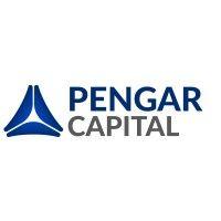 pengar capital llc logo image