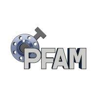 precision flange and machine, inc. logo image