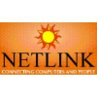 netlink business system logo image