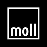 moll.world logo image