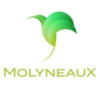 molyneaux services logo image