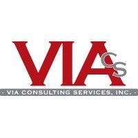 via consulting services, inc. logo image