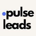 logo of Pulse Leads