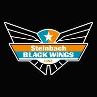 steinbach black wings linz