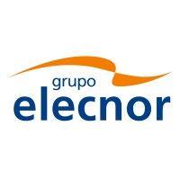 elecnor group logo image