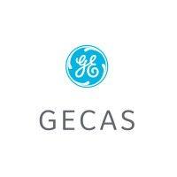 gecas logo image