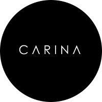 artists by carina ™ logo image