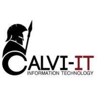 calvi-it serv. com. inf. ltda. logo image