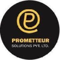 prometteur solutions pvt. ltd. logo image